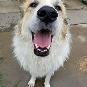 Meet your Posher, Terri